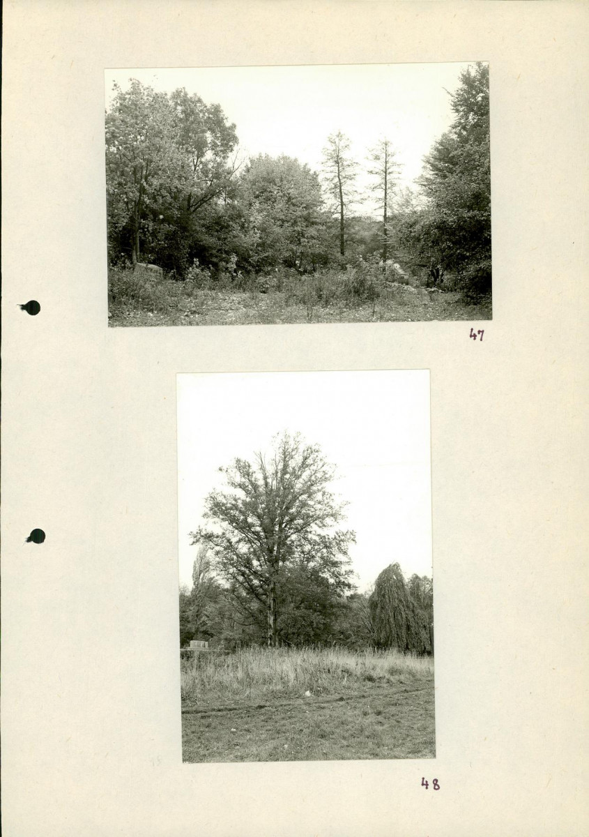 EP - Ewidencja parkowa, skan nr 73