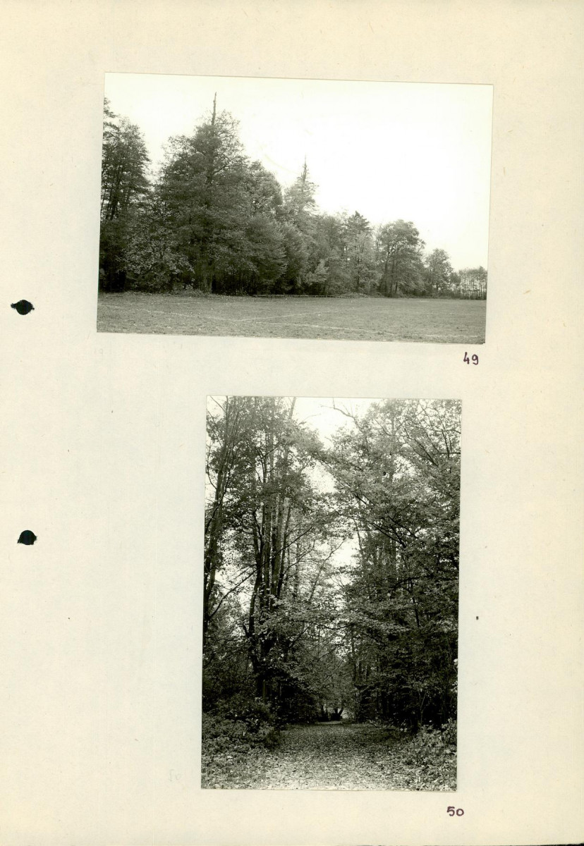 EP - Ewidencja parkowa, skan nr 74