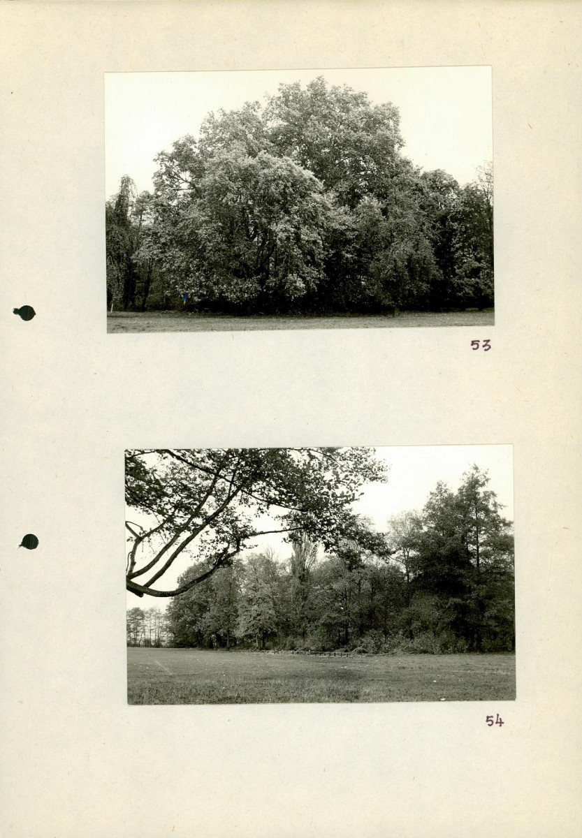 EP - Ewidencja parkowa, skan nr 76