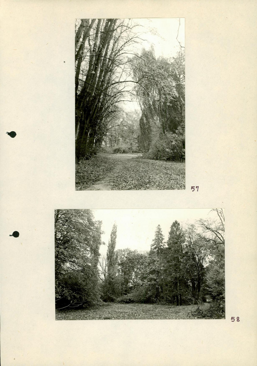 EP - Ewidencja parkowa, skan nr 78