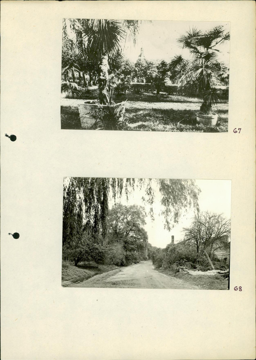 EP - Ewidencja parkowa, skan nr 83