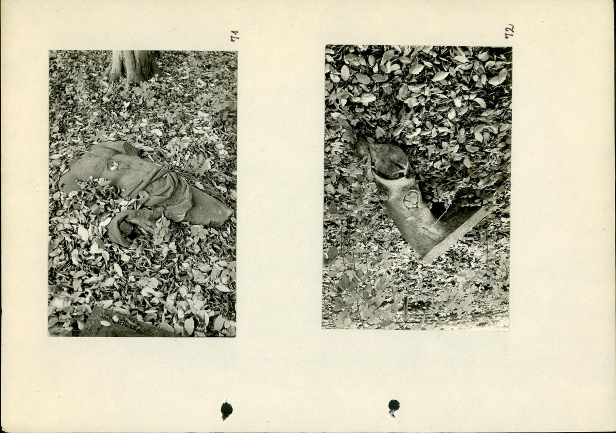 EP - Ewidencja parkowa, skan nr 85