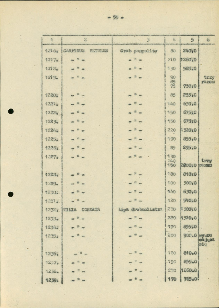 EP - Ewidencja parkowa, skan nr 160
