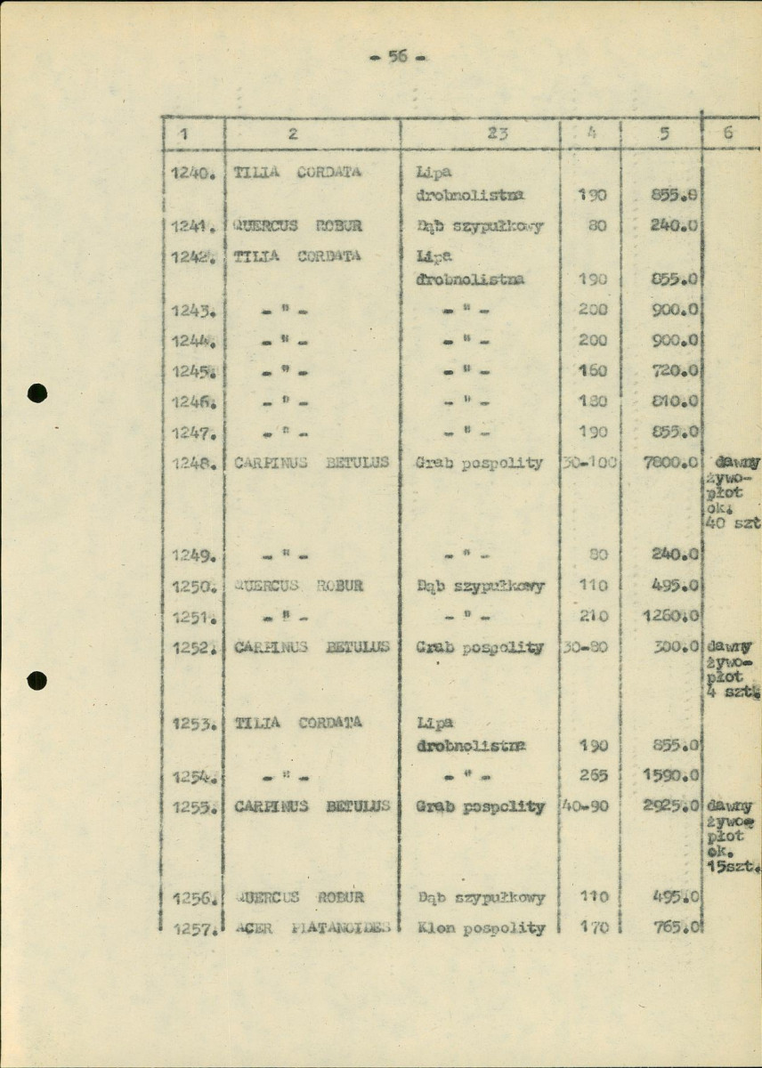 EP - Ewidencja parkowa, skan nr 161