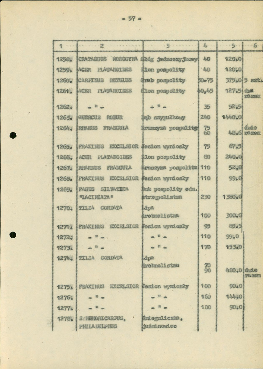 EP - Ewidencja parkowa, skan nr 162