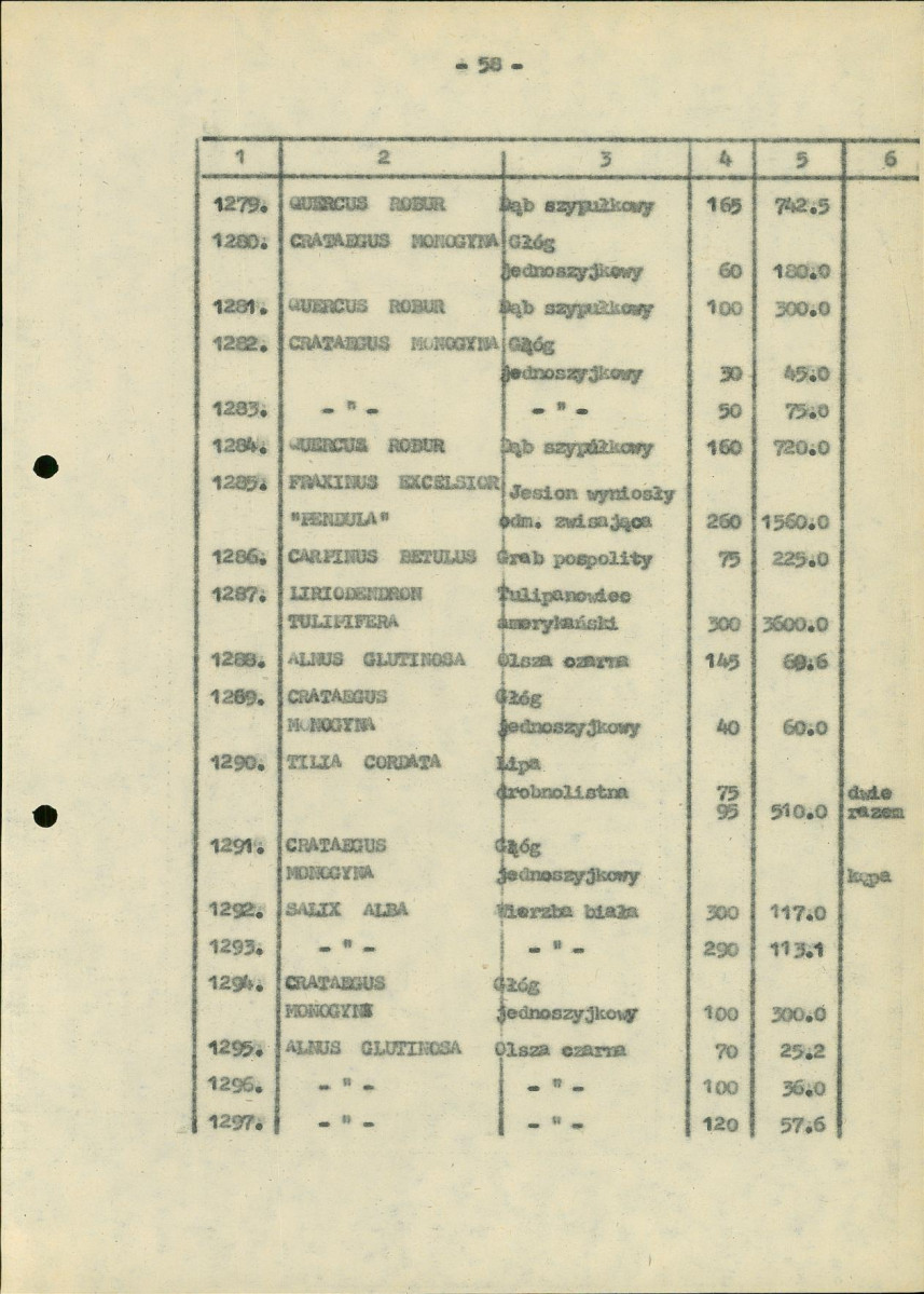 EP - Ewidencja parkowa, skan nr 163