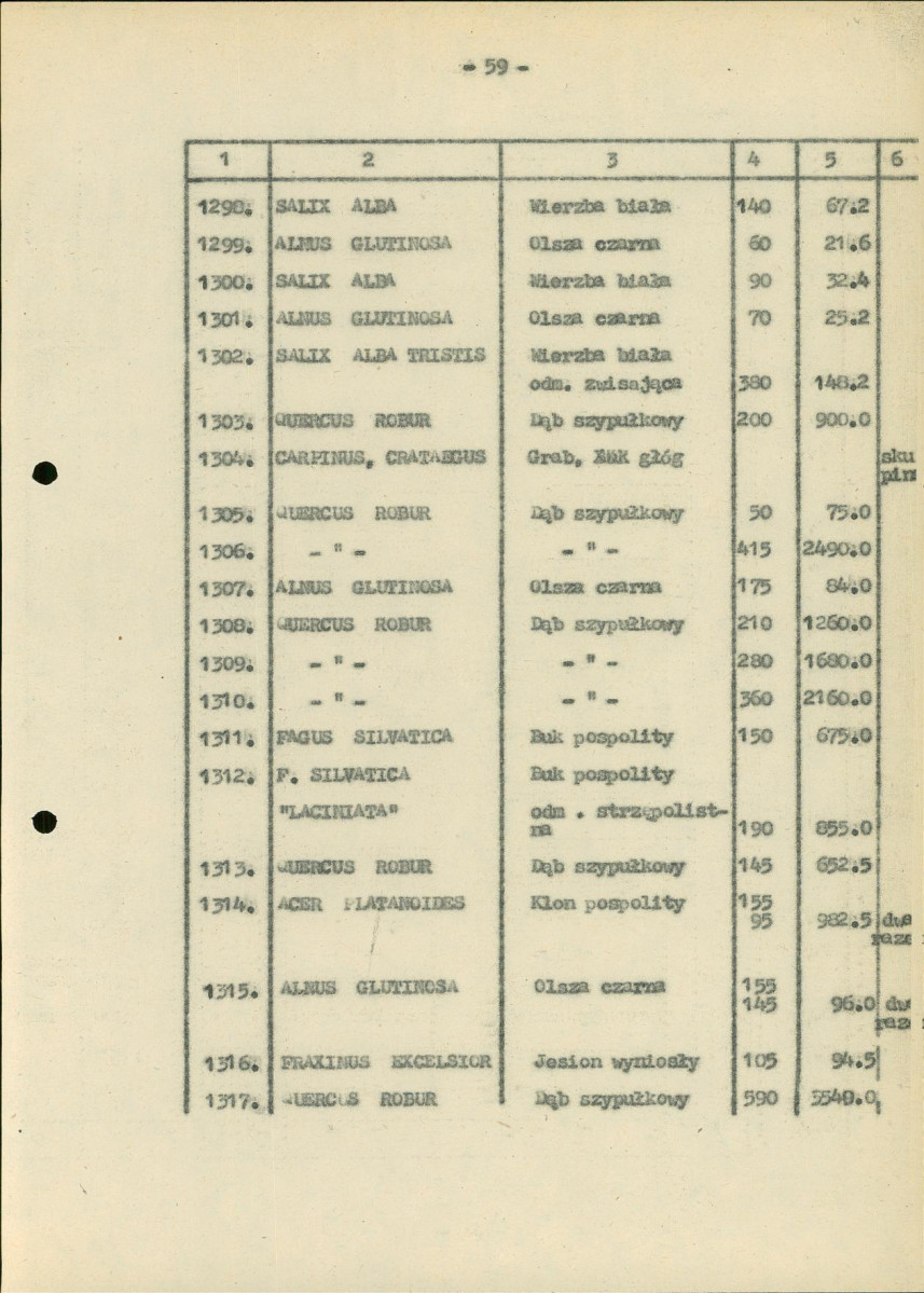 EP - Ewidencja parkowa, skan nr 164