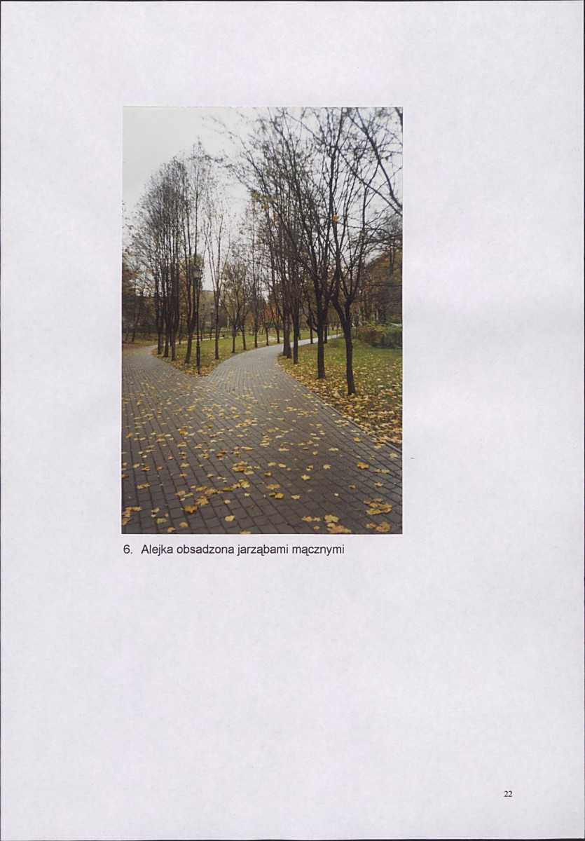 EP - Ewidencja parkowa, skan nr 26