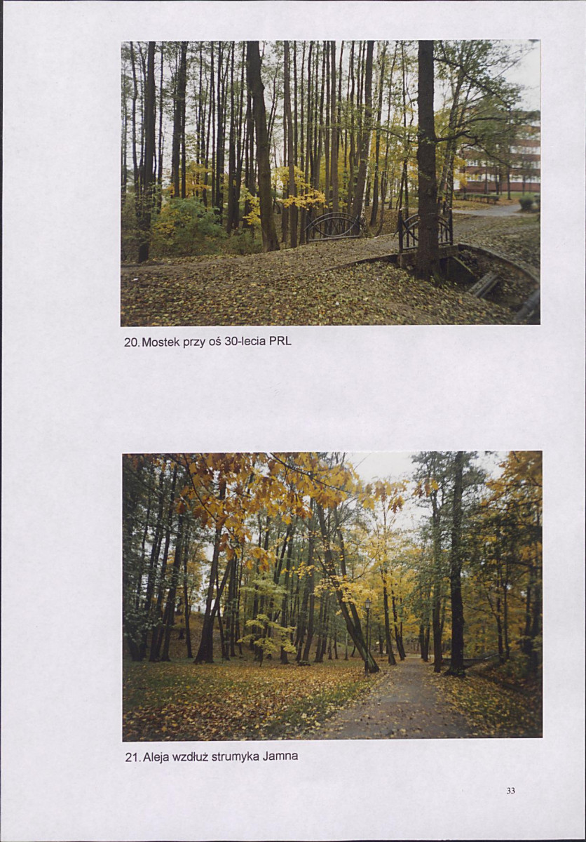 EP - Ewidencja parkowa, skan nr 37