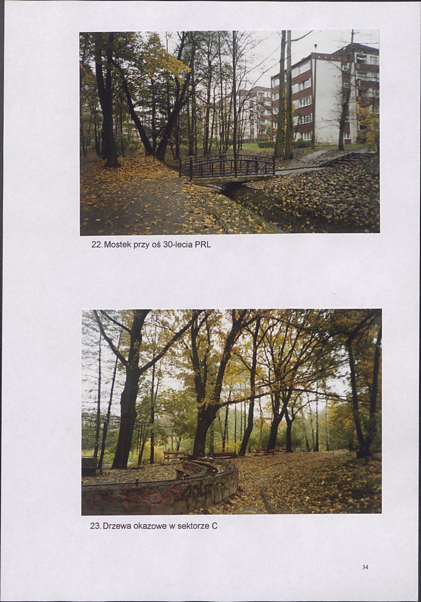 EP - Ewidencja parkowa, skan nr 38