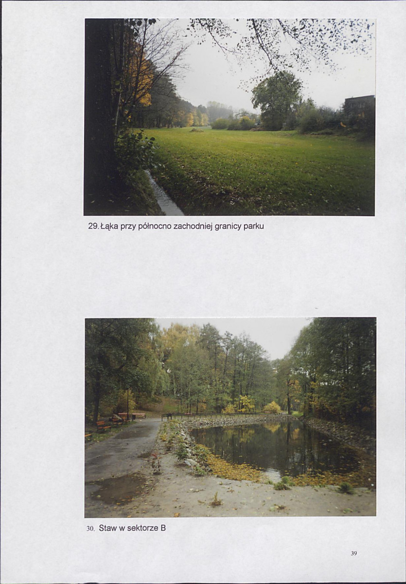 EP - Ewidencja parkowa, skan nr 43