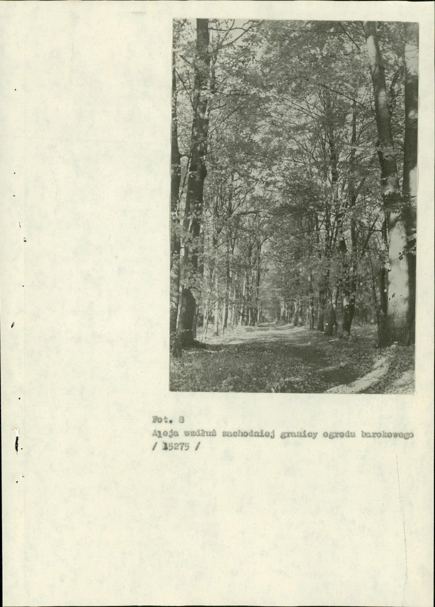 EP - Ewidencja parkowa, skan nr 62