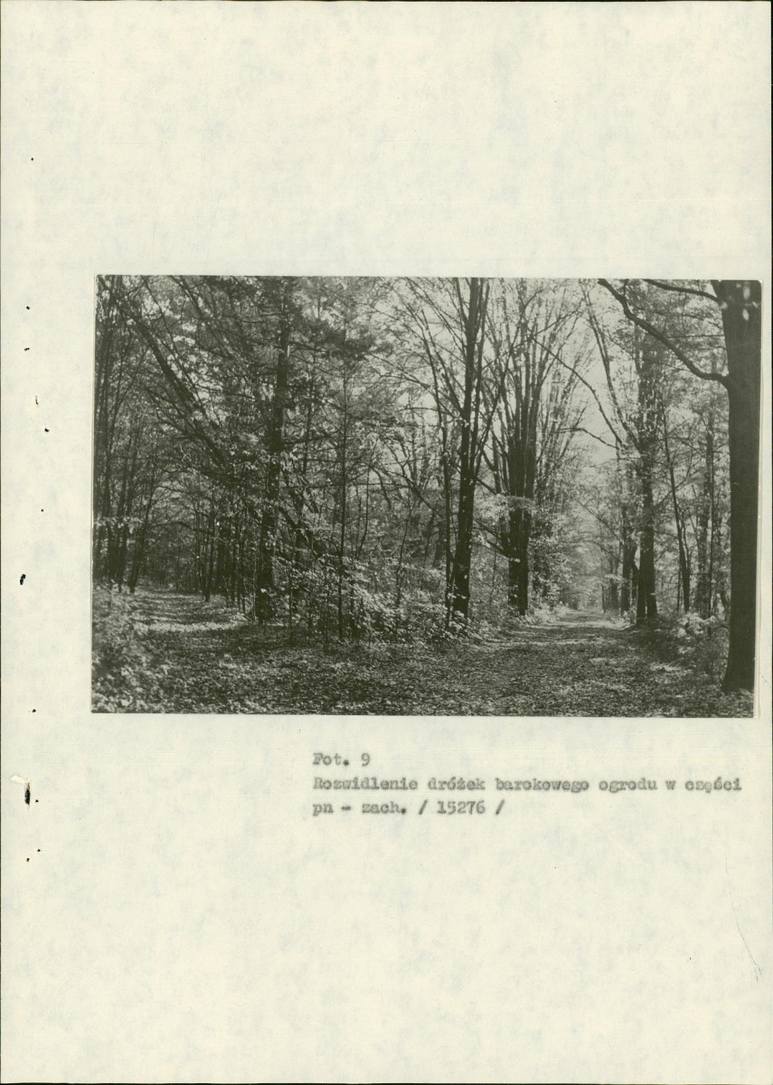 EP - Ewidencja parkowa, skan nr 63