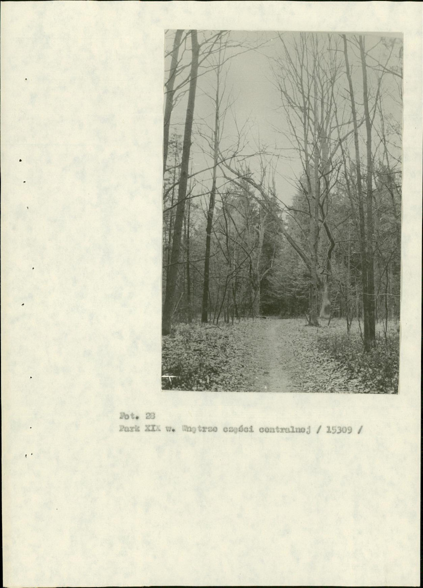 EP - Ewidencja parkowa, skan nr 82