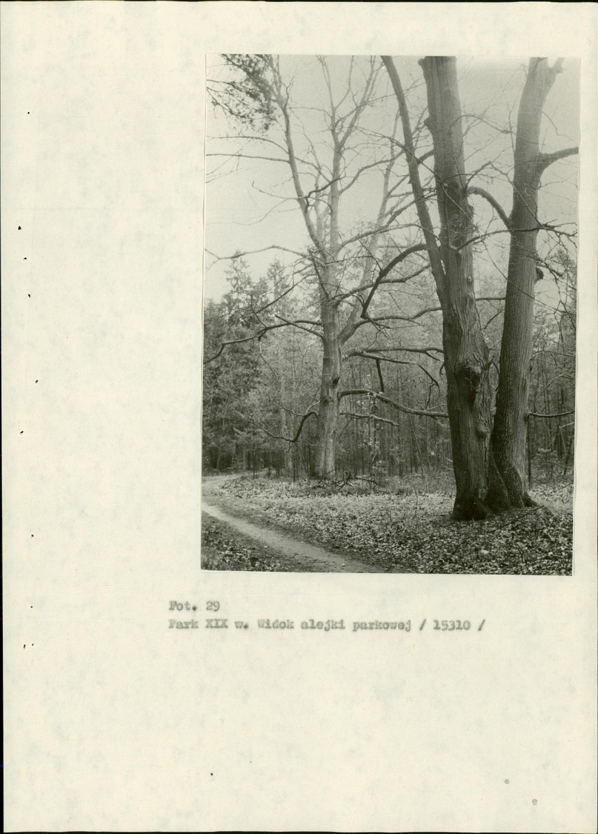 EP - Ewidencja parkowa, skan nr 83