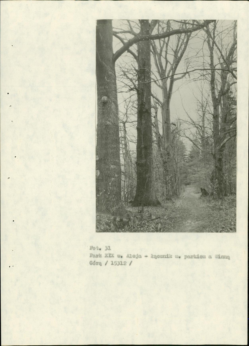 EP - Ewidencja parkowa, skan nr 85