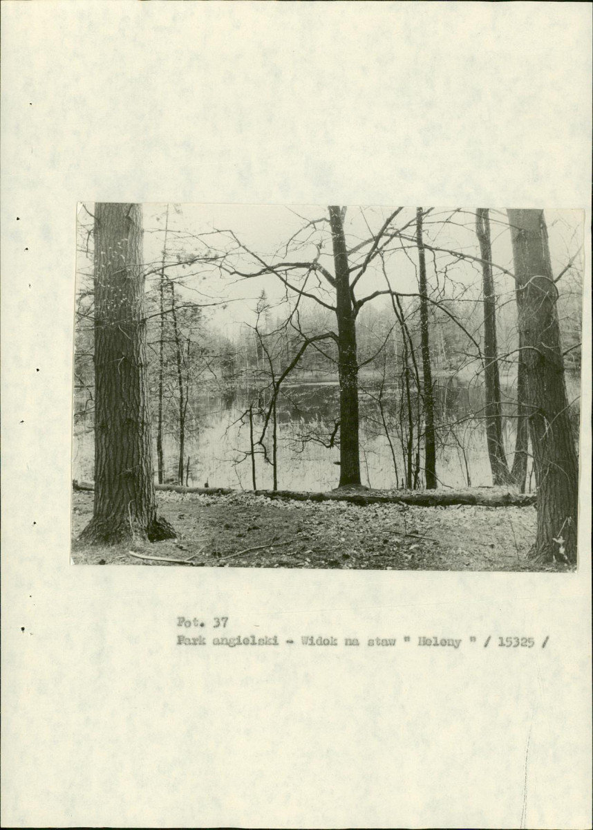 EP - Ewidencja parkowa, skan nr 91