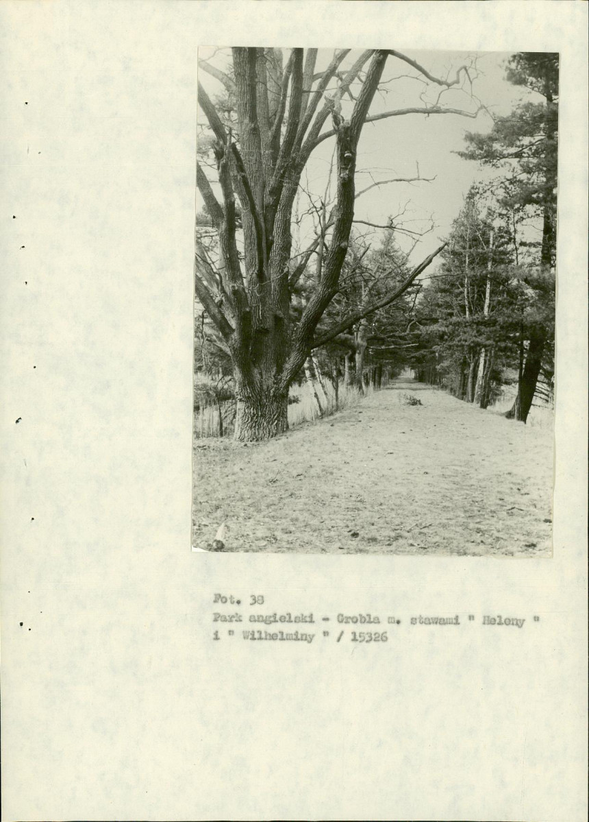 EP - Ewidencja parkowa, skan nr 92