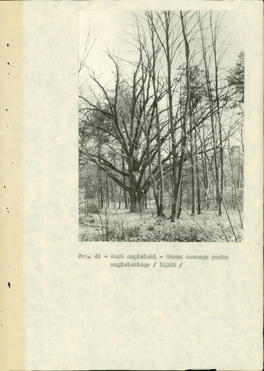 EP - Ewidencja parkowa, skan nr 95