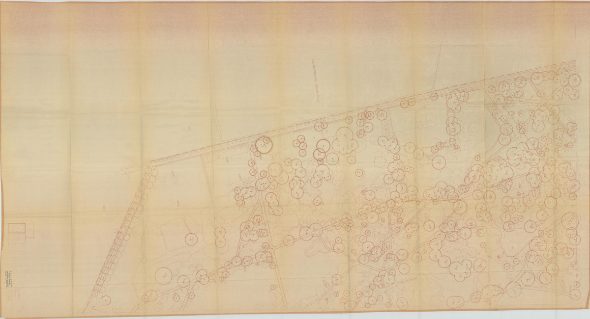 EP - Ewidencja parkowa, skan nr 133