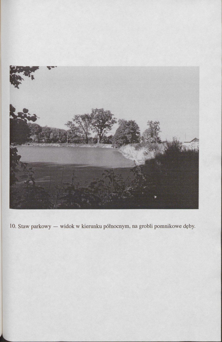 EP - Ewidencja parkowa, skan nr 70