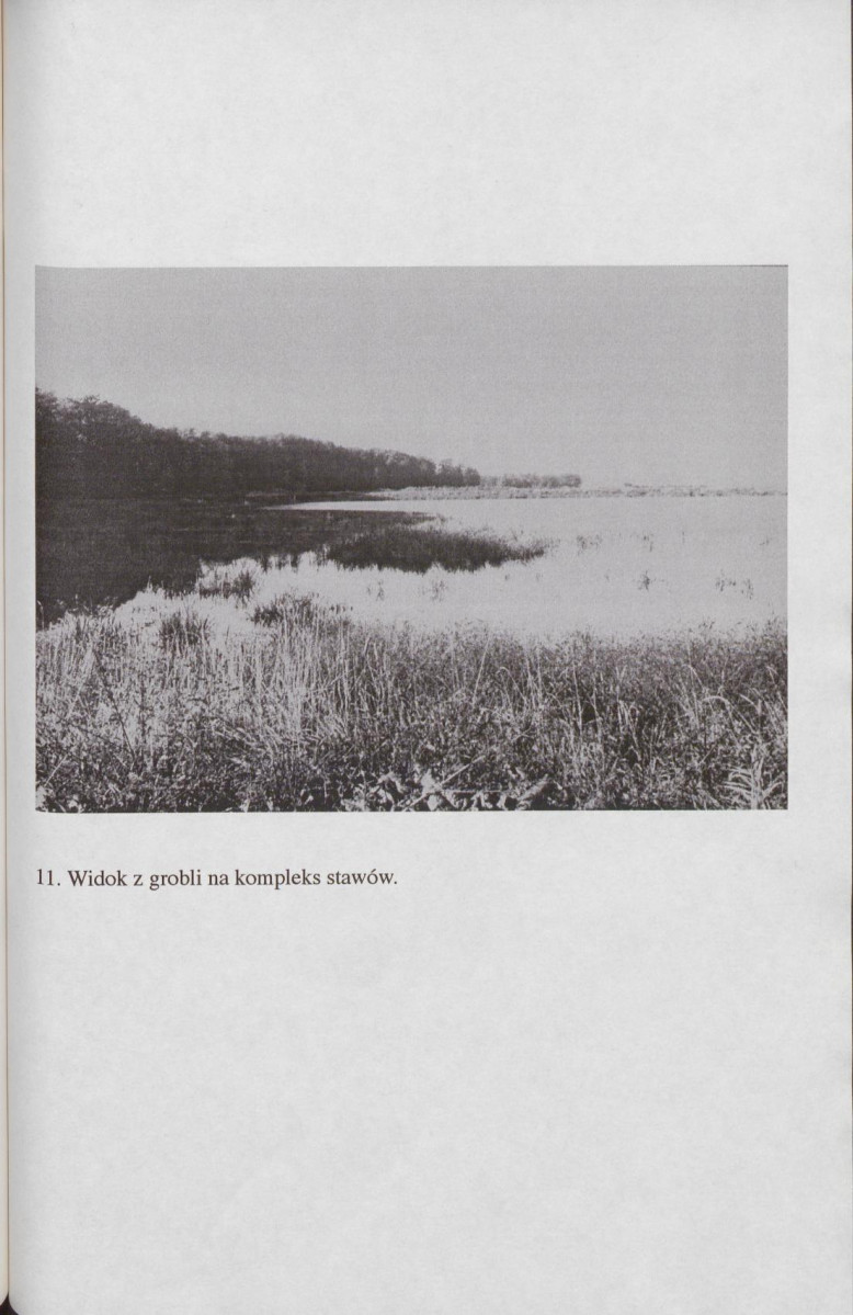 EP - Ewidencja parkowa, skan nr 71