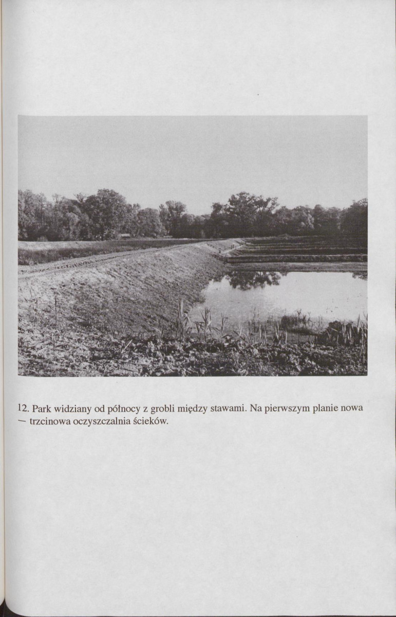 EP - Ewidencja parkowa, skan nr 72