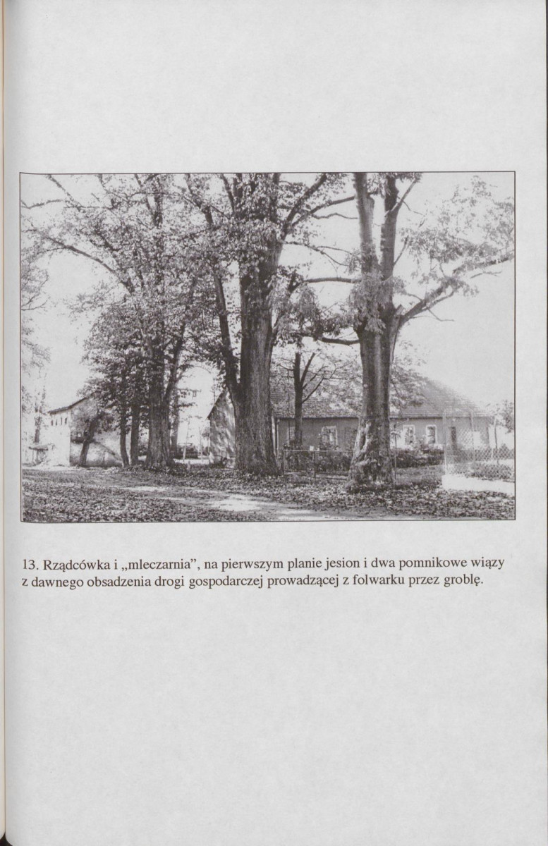 EP - Ewidencja parkowa, skan nr 73