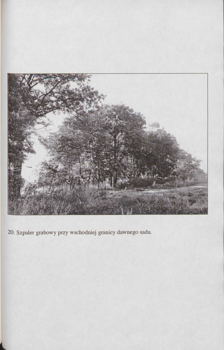 EP - Ewidencja parkowa, skan nr 80
