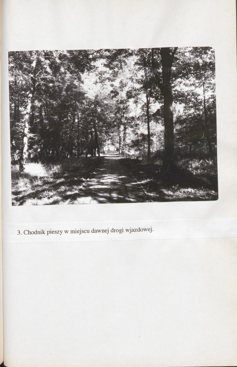EP - Ewidencja parkowa, skan nr 89