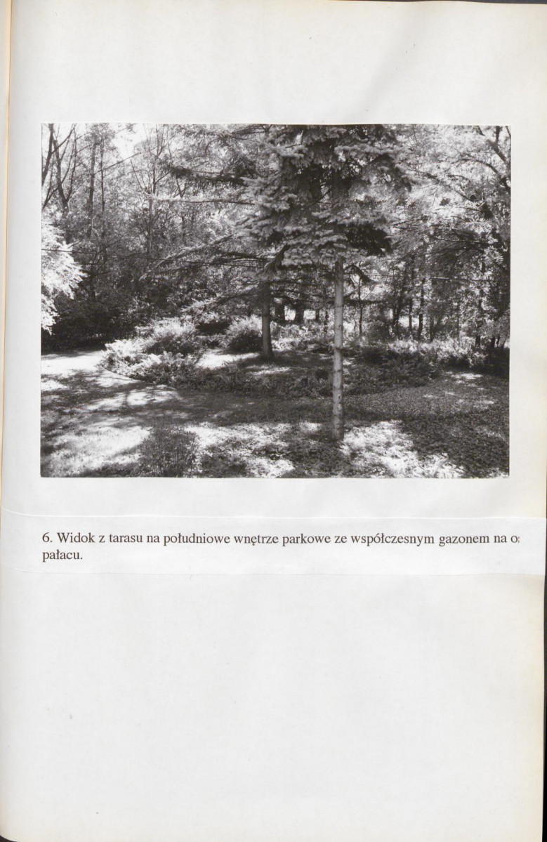 EP - Ewidencja parkowa, skan nr 92