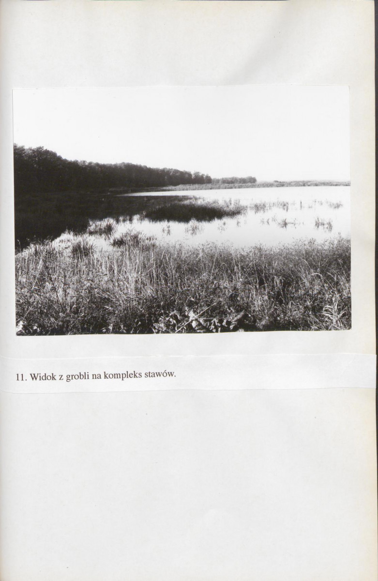 EP - Ewidencja parkowa, skan nr 97