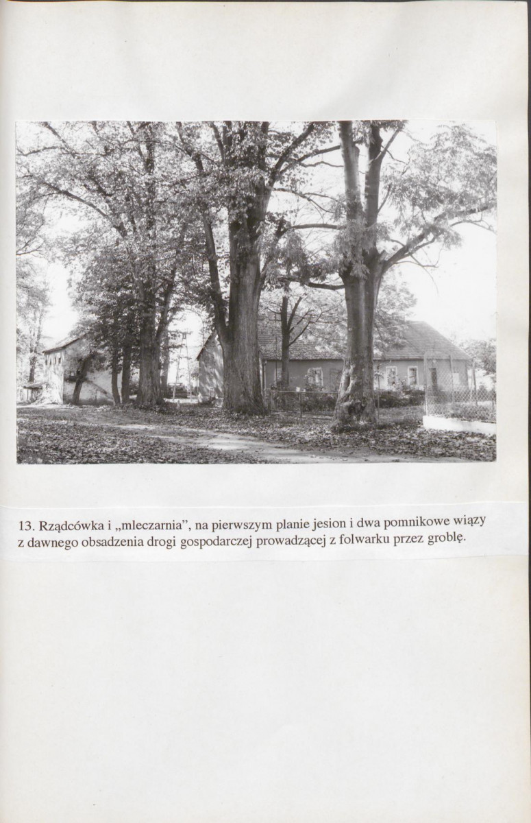 EP - Ewidencja parkowa, skan nr 99