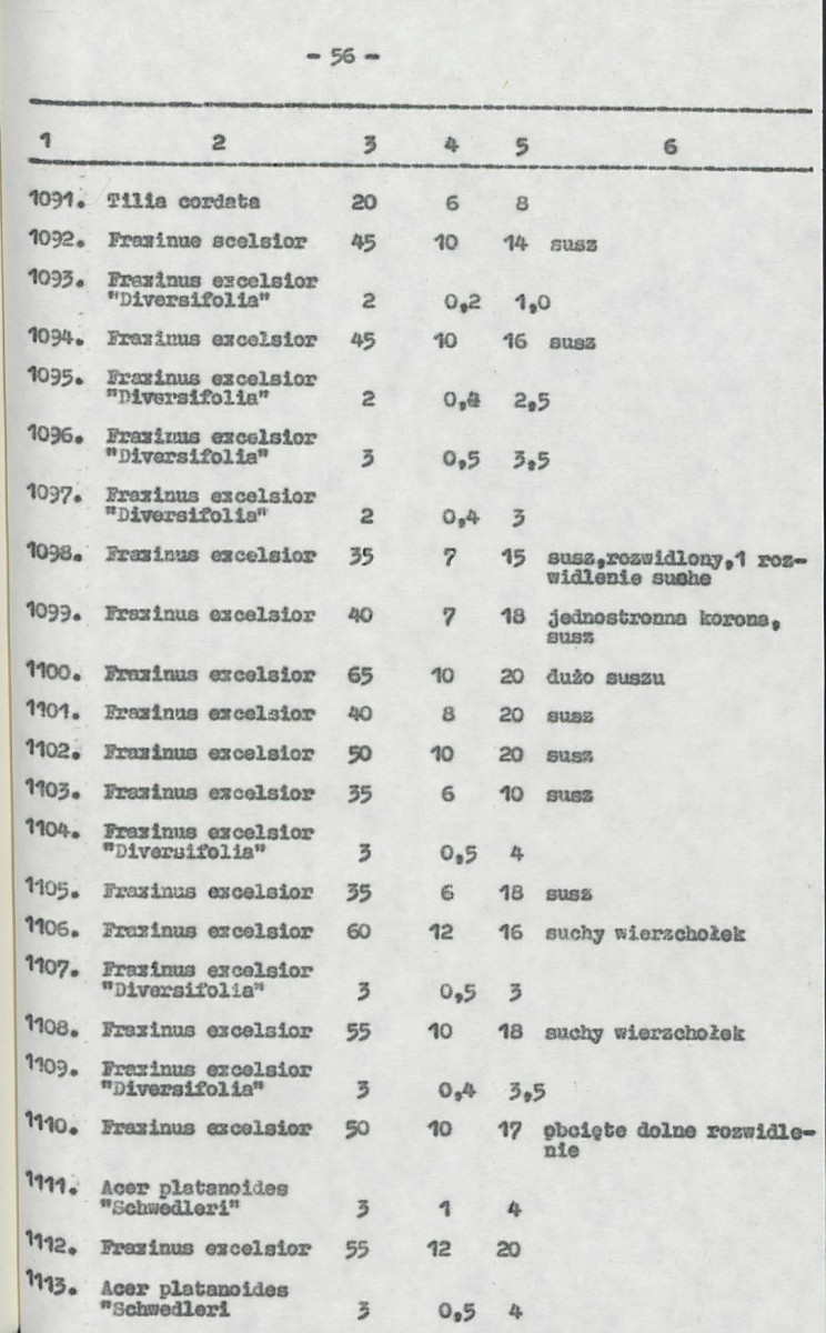 Ewidencja parkowa, skan nr 76