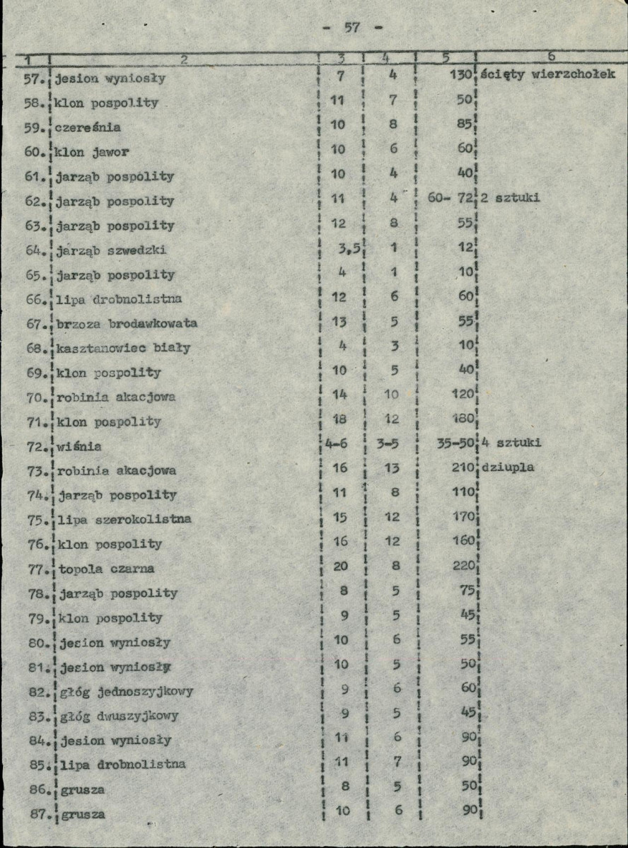 EP - Ewidencja parkowa, skan nr 9