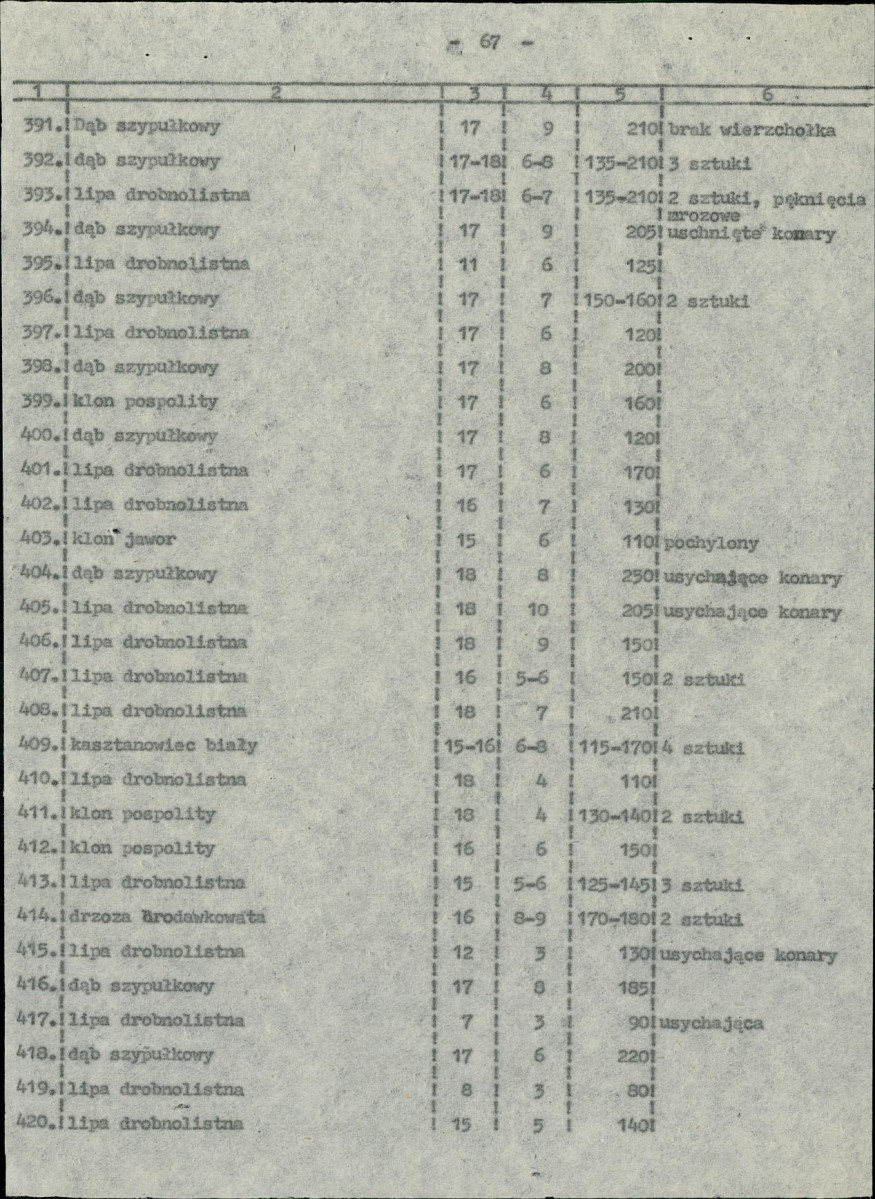 EP - Ewidencja parkowa, skan nr 20