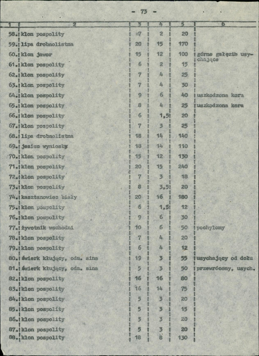 EP - Ewidencja parkowa, skan nr 26