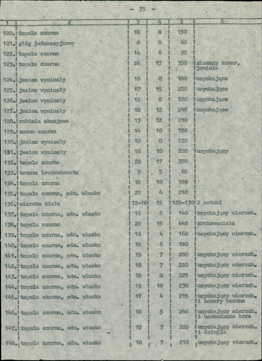 EP - Ewidencja parkowa, skan nr 28