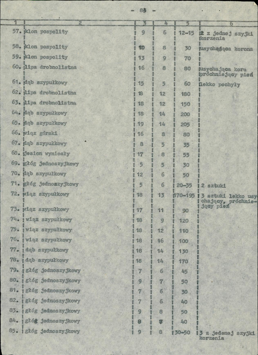 EP - Ewidencja parkowa, skan nr 37
