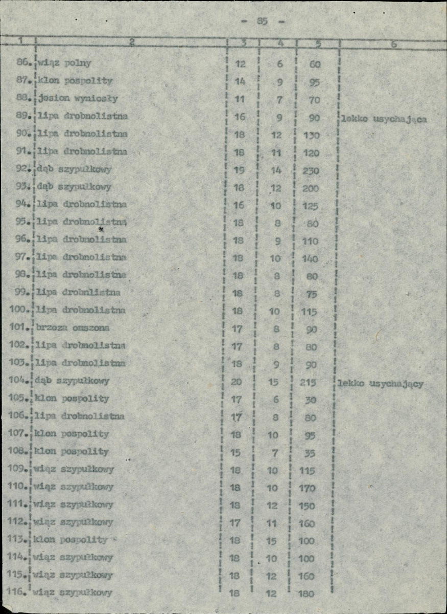 EP - Ewidencja parkowa, skan nr 38