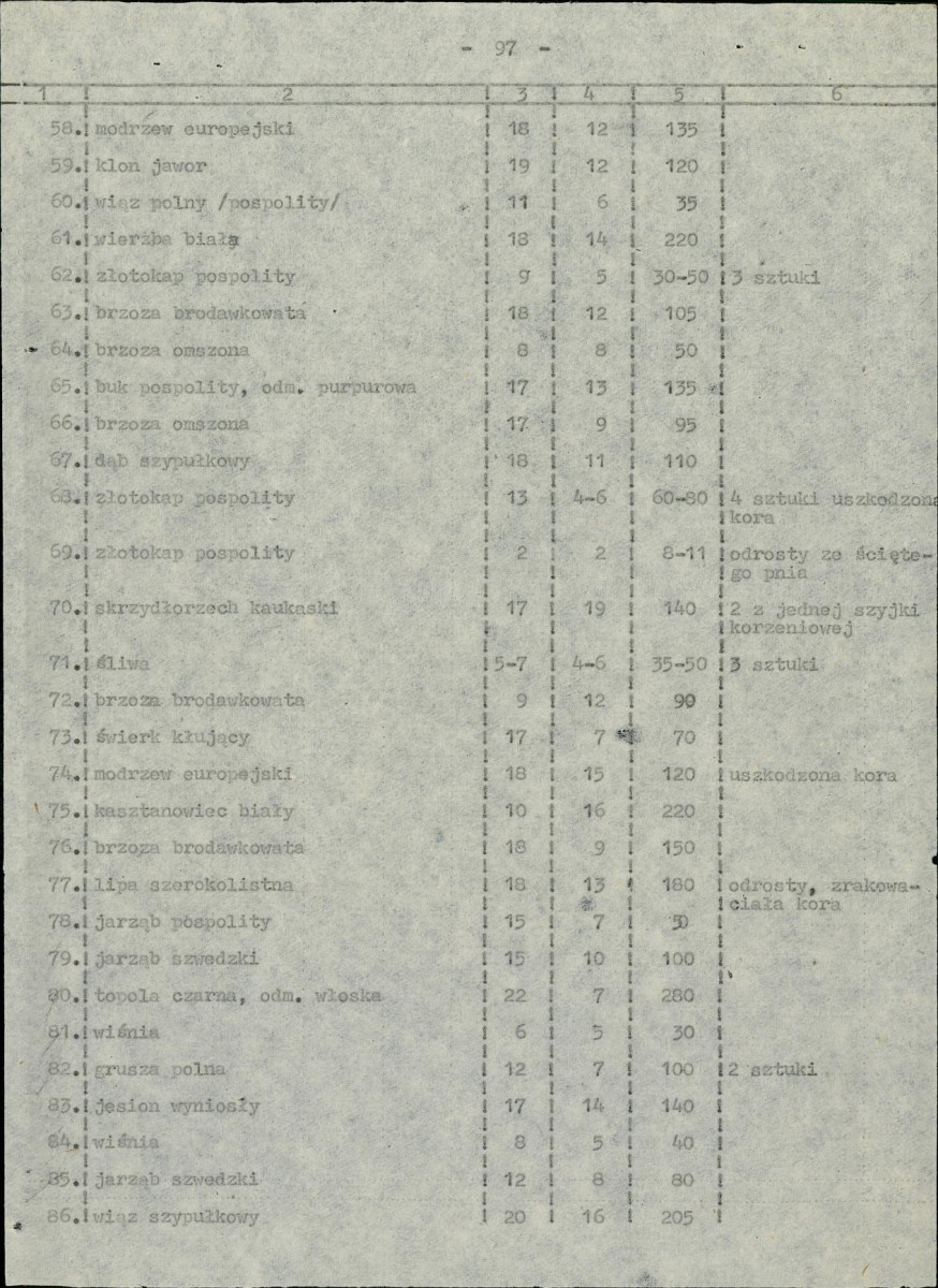 EP - Ewidencja parkowa, skan nr 50