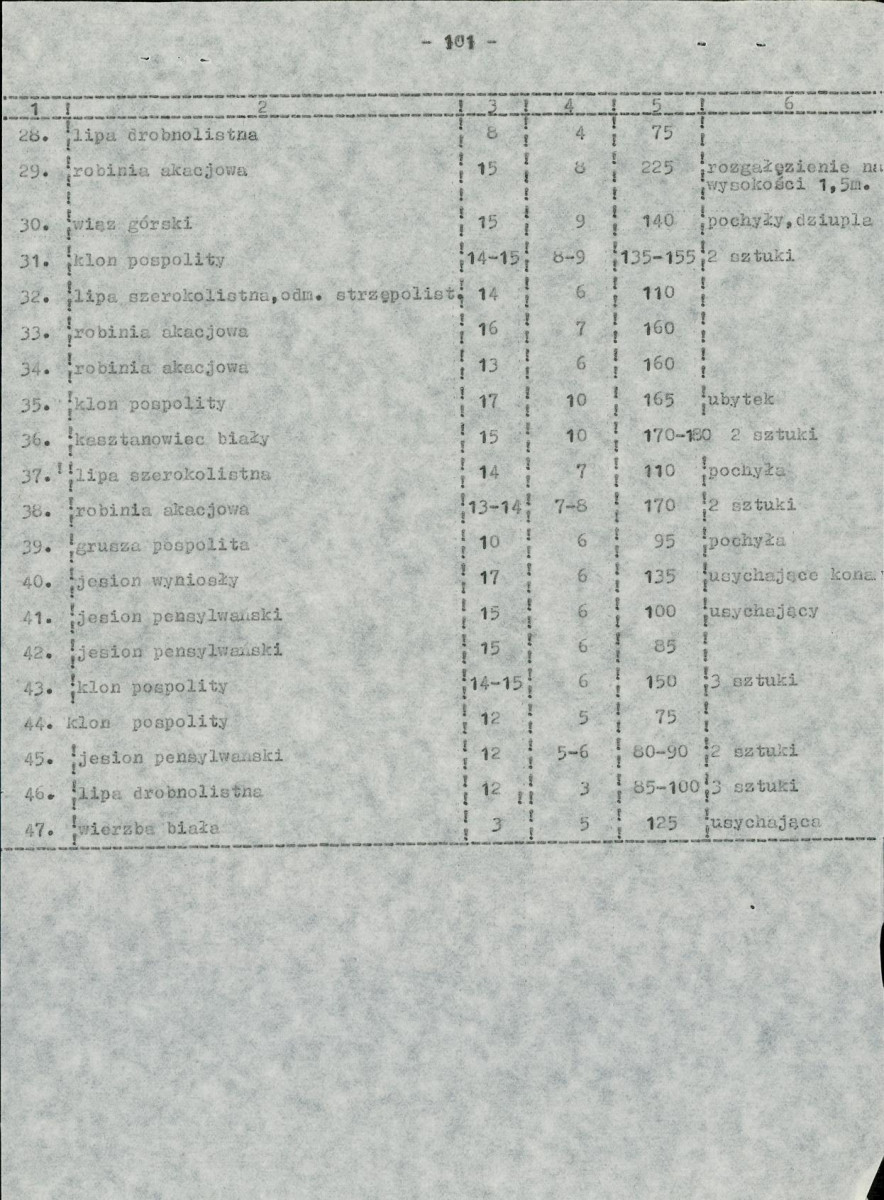EP - Ewidencja parkowa, skan nr 54