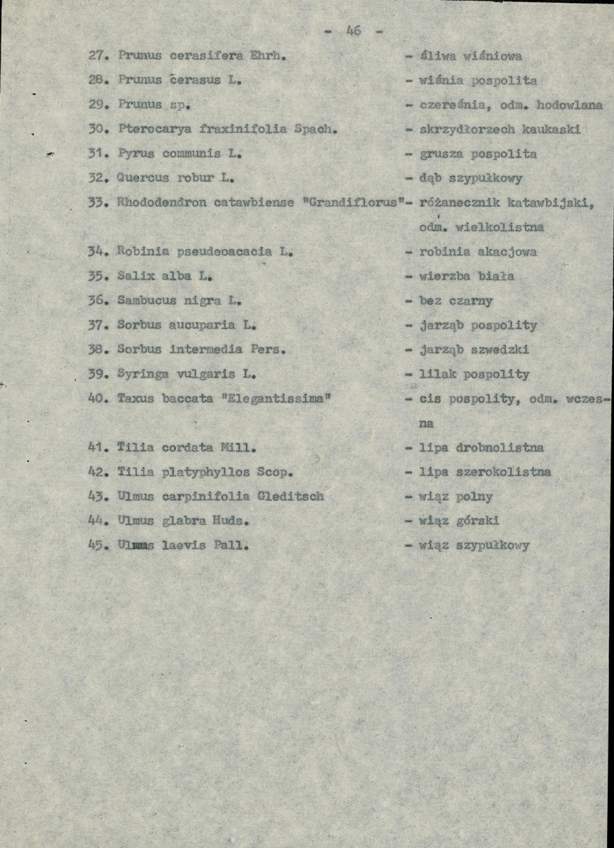 EP - Ewidencja parkowa, skan nr 113