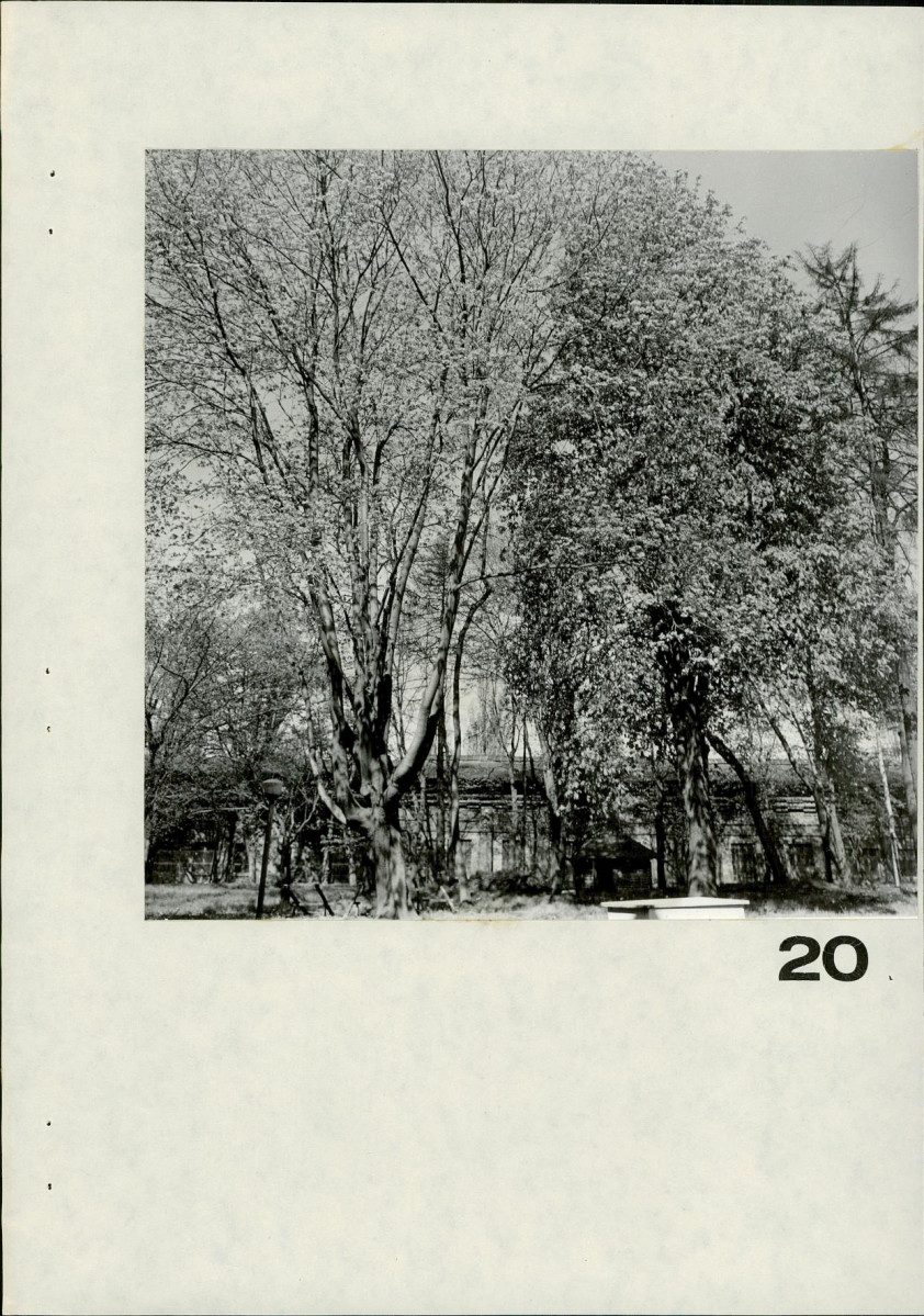 EP - Ewidencja parkowa, skan nr 143