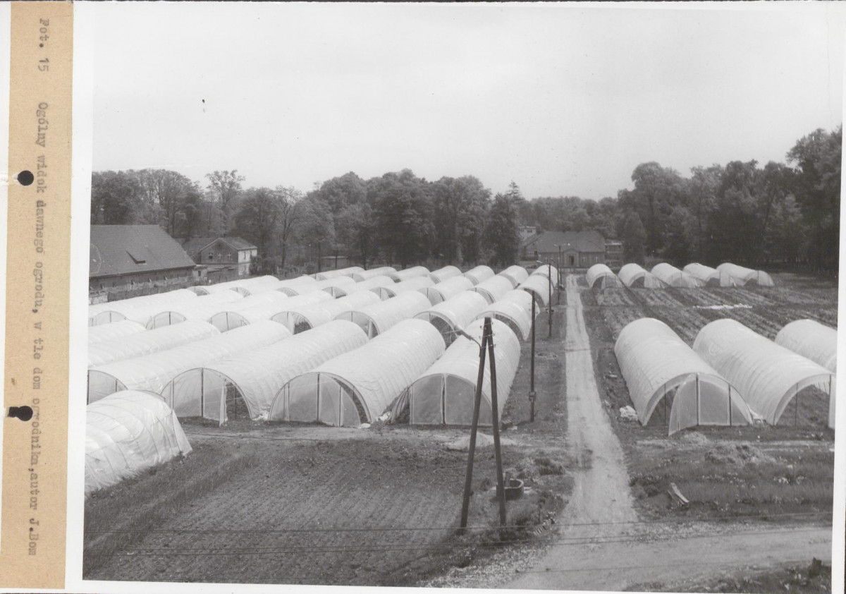 EP - Ewidencja parkowa, skan nr 81