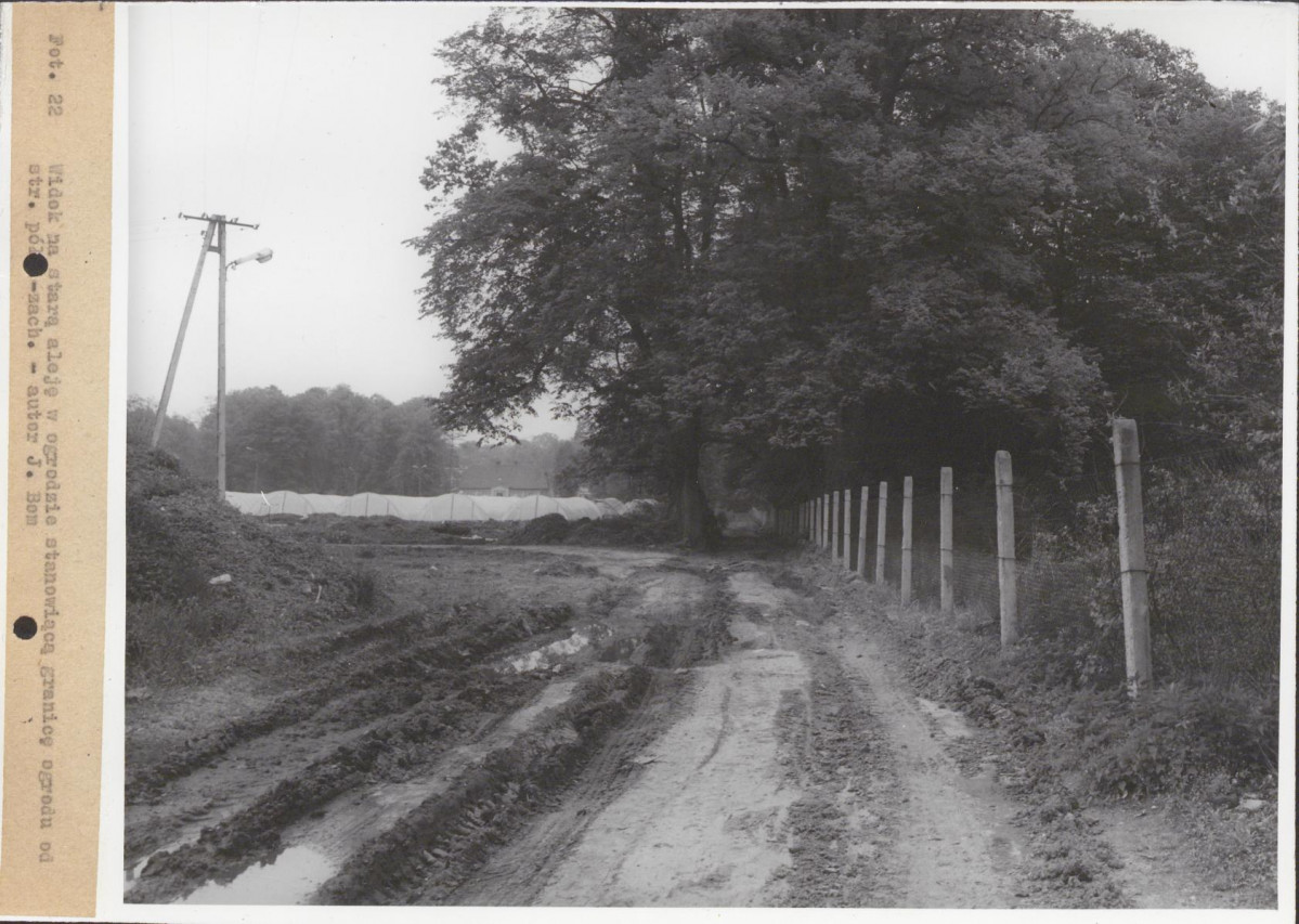 EP - Ewidencja parkowa, skan nr 88