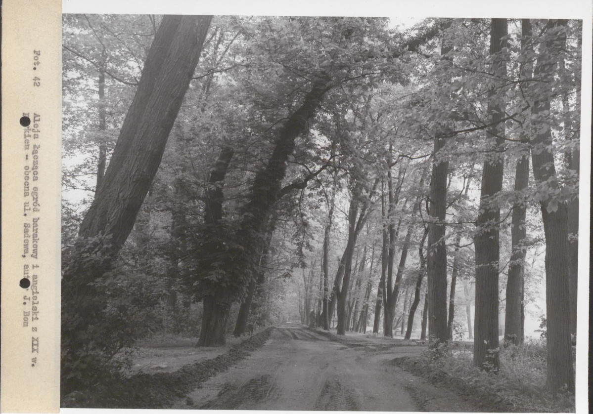 EP - Ewidencja parkowa, skan nr 108