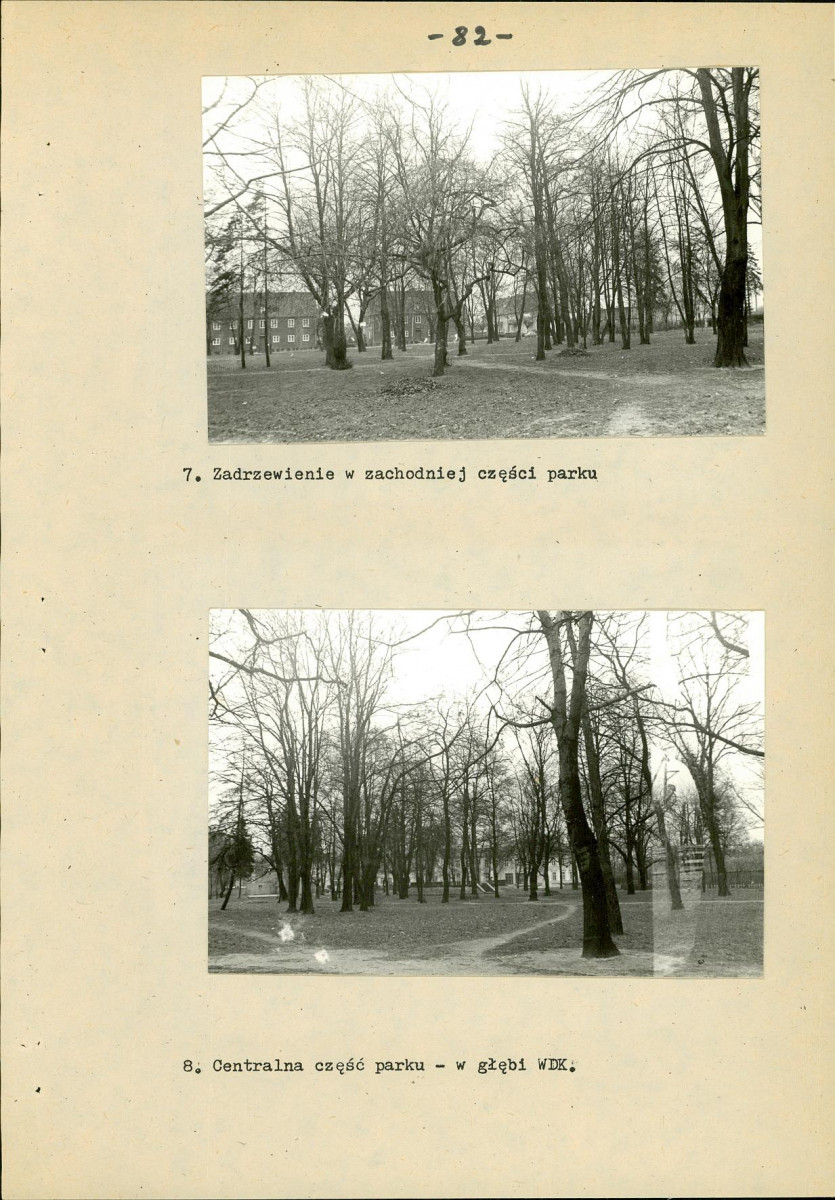 EP - Ewidencja parkowa, skan nr 101