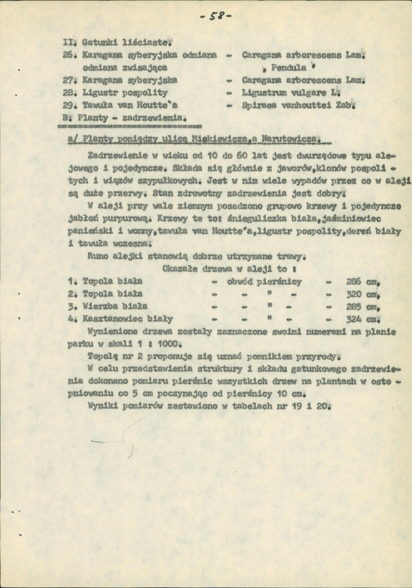 EP - Ewidencja parkowa, skan nr 77