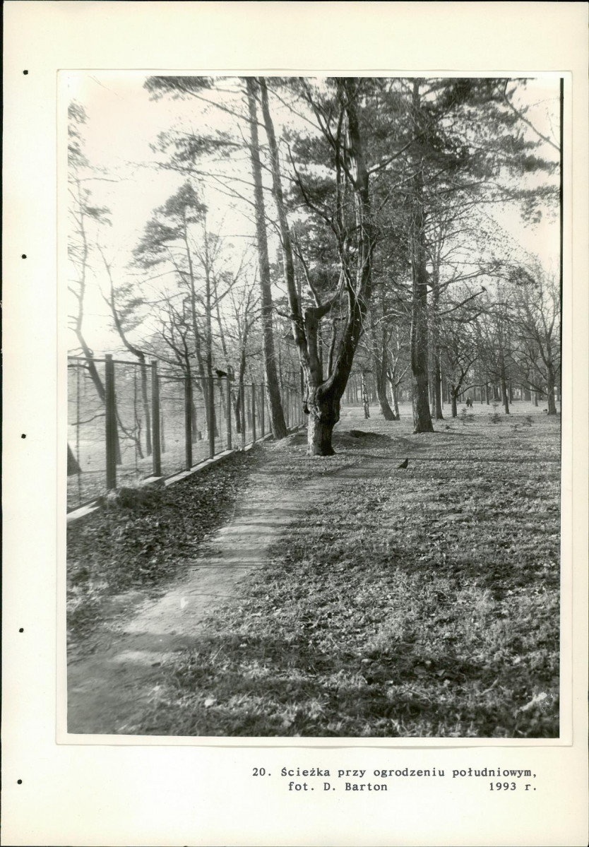 EP - Ewidencja parkowa, skan nr 77